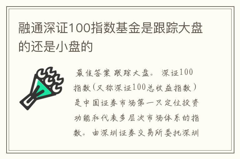 融通深证100指数基金是跟踪大盘的还是小盘的